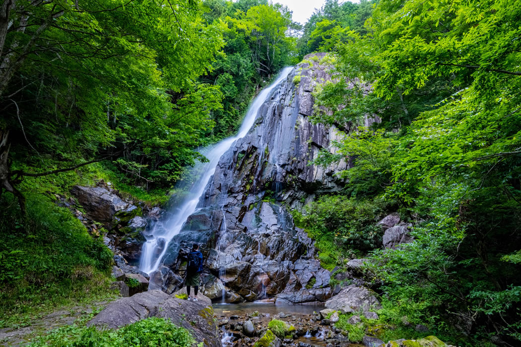 森林公園おおくら滝